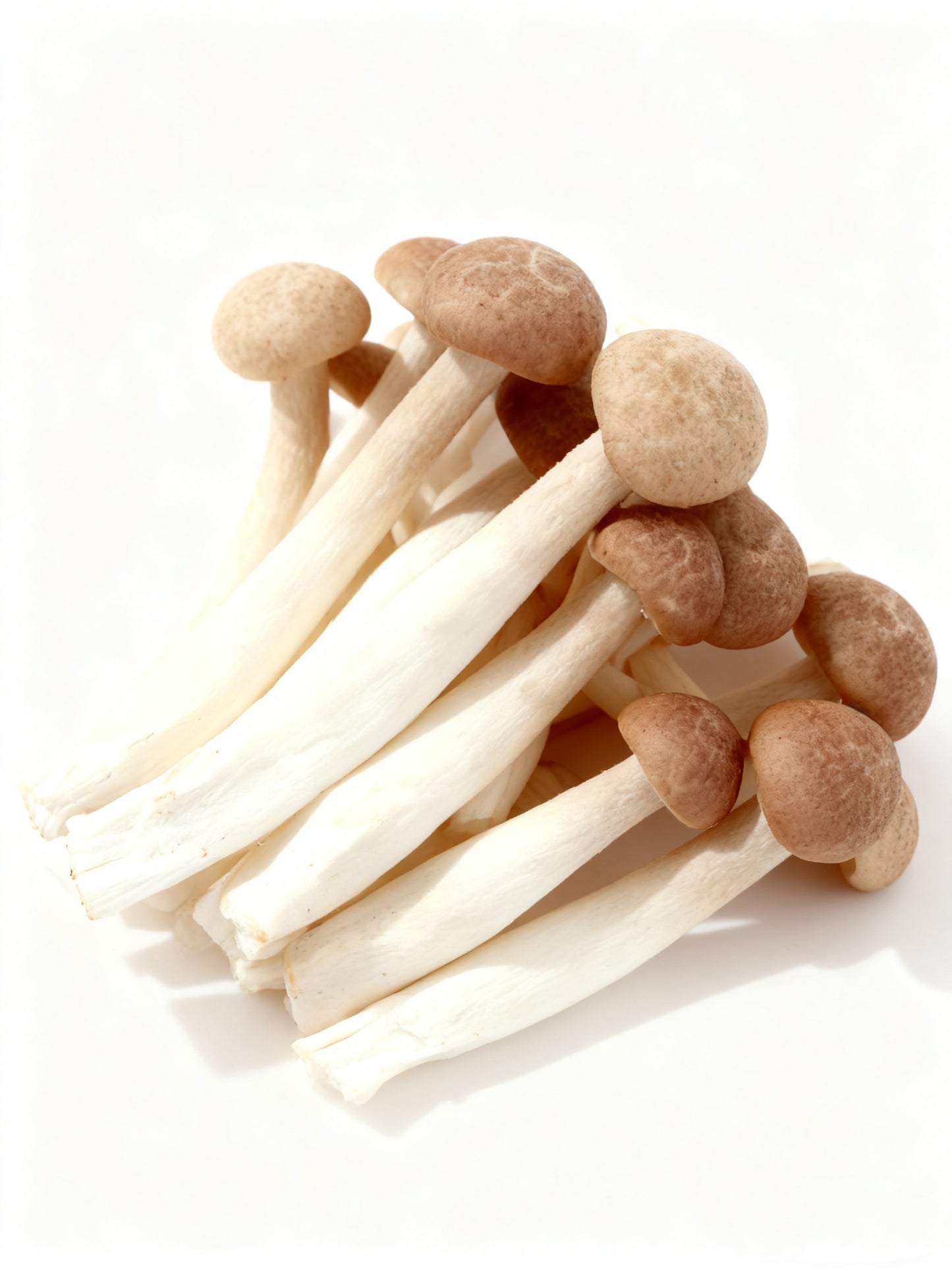 Shimeji Mushroom Brown 蟹味菇150g