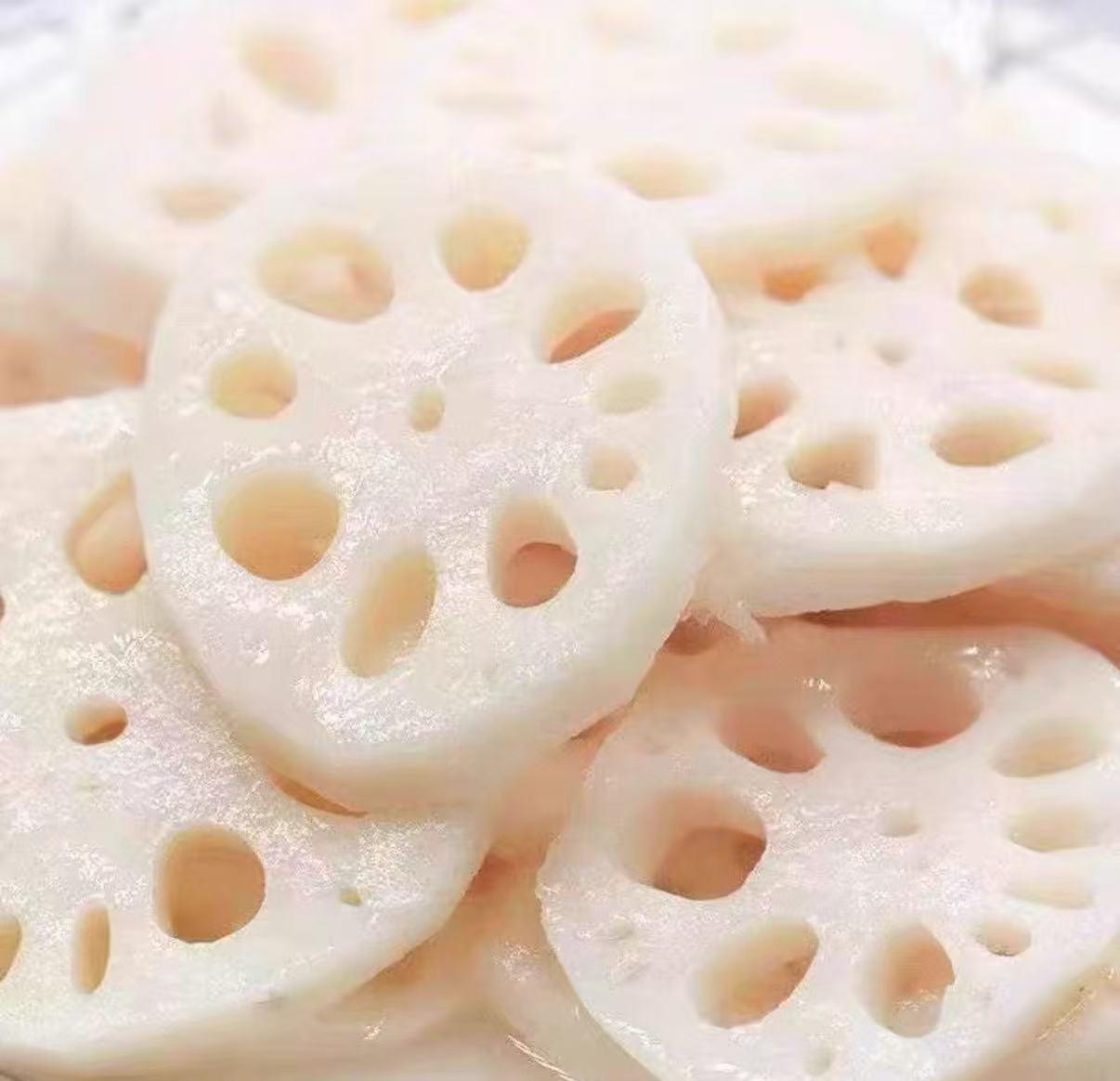 HC Lotus 汉川莲藕