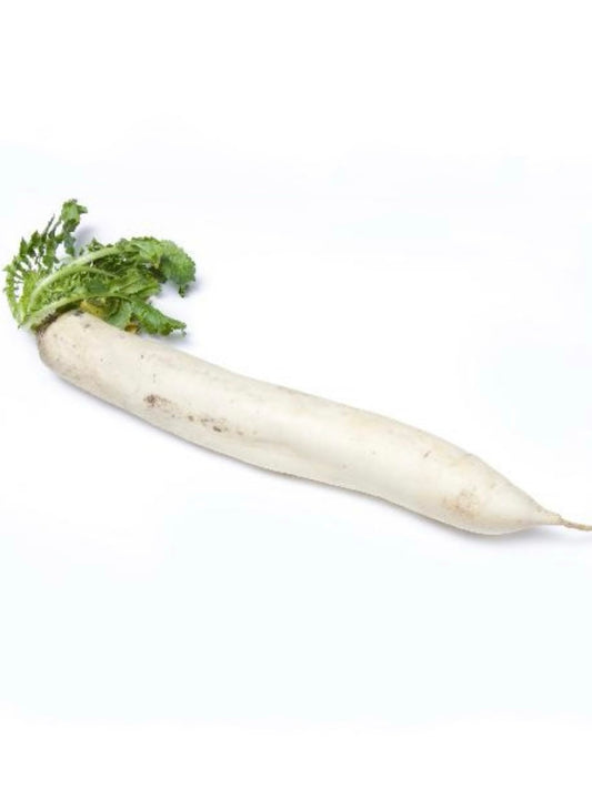 White Radish 白萝卜 一根