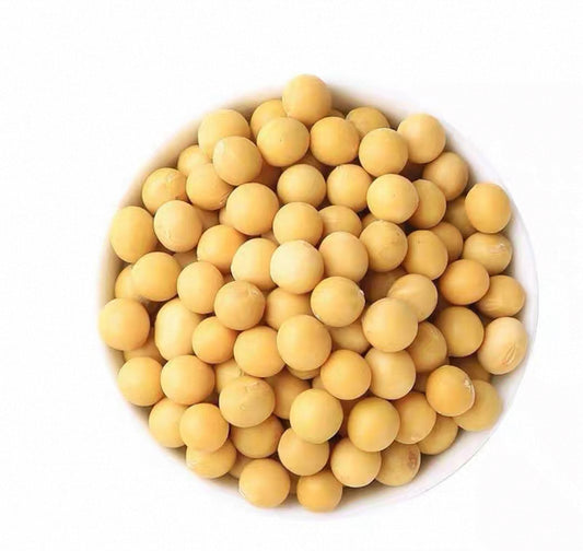 EA 500g Soy Beans  东亚黄豆 500g