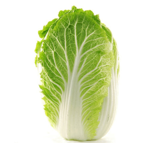 Chinese-Cabbage-01