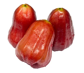 bell fruit蓮霧500g