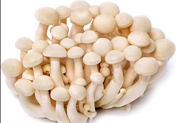 White Shimeji Mushroom 蟹味菇 白 150g