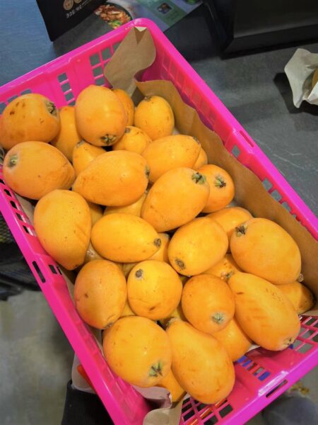 WeChat Image_20220505145247