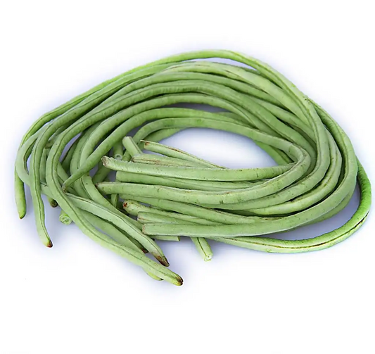 WeChat Image_20220613152329