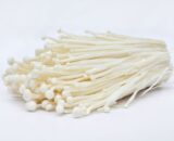 Enoki mushroom