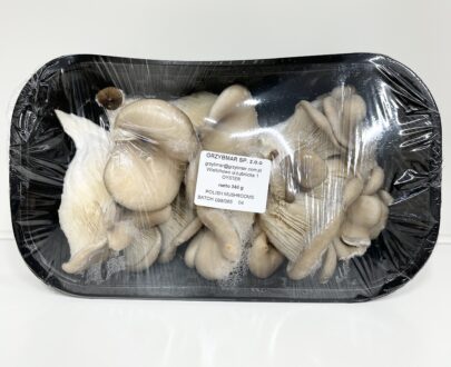 oyster mushroom