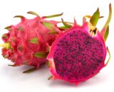 red dragon fruit
