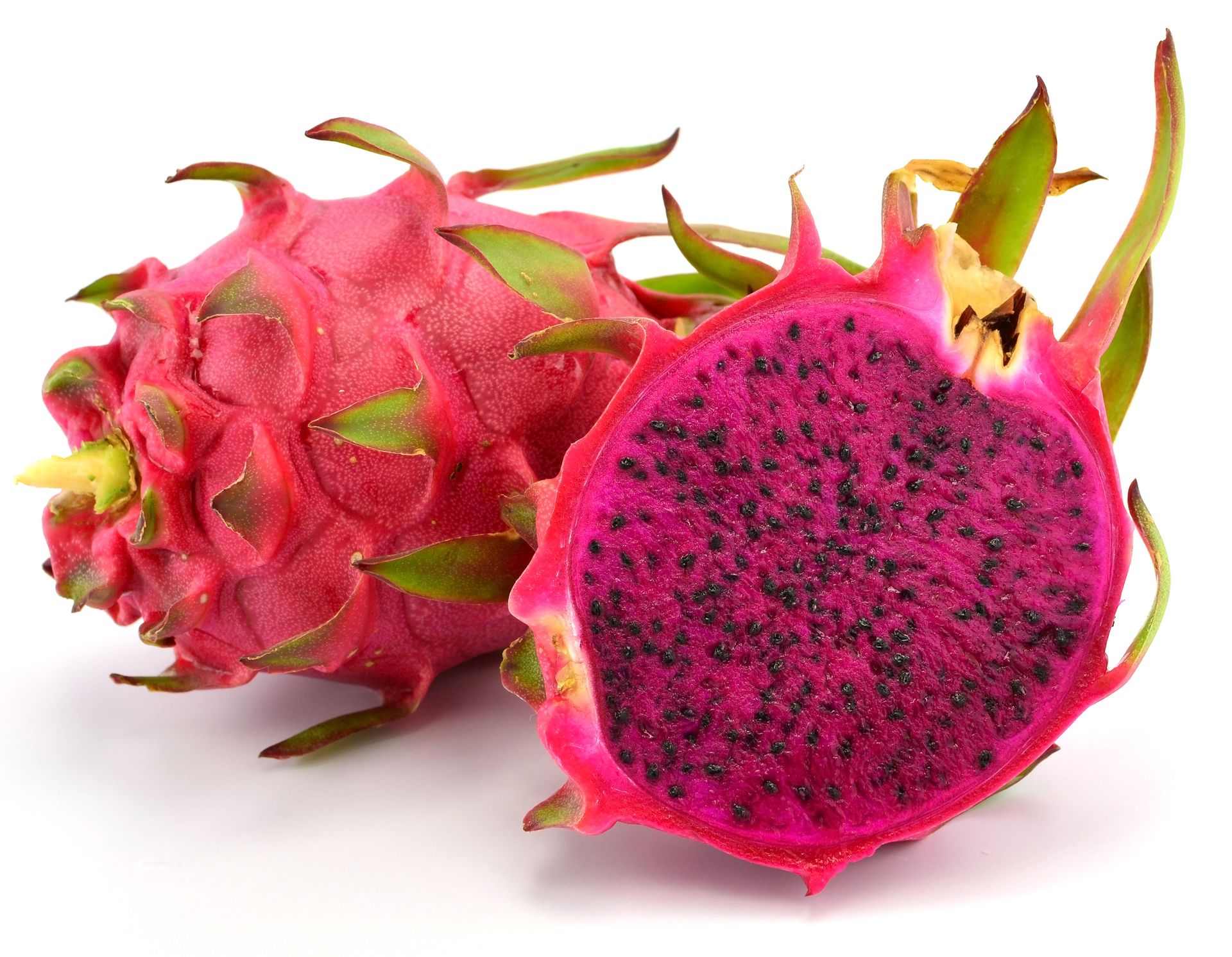 red dragon fruit red dragon fruit