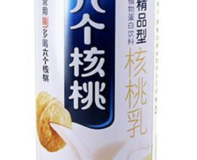 YY Walnut Juice Drink 養元六個核桃核桃乳240ml