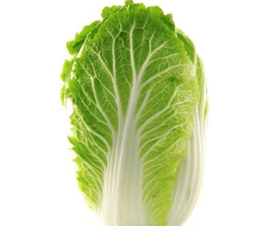 大白菜