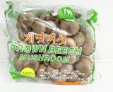 brown shimeji mushroom