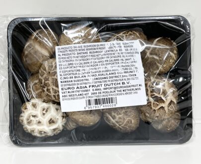 fresh shitake mushroom