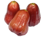 bell fruit蓮霧500g