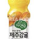 WOONG JINTangerine Juice500ml