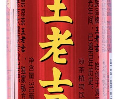Wong Lo Kat Herbal Tea 王老吉凉茶310ml