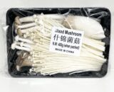 fresh mixed mushroom