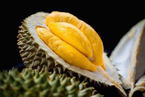 musang king
